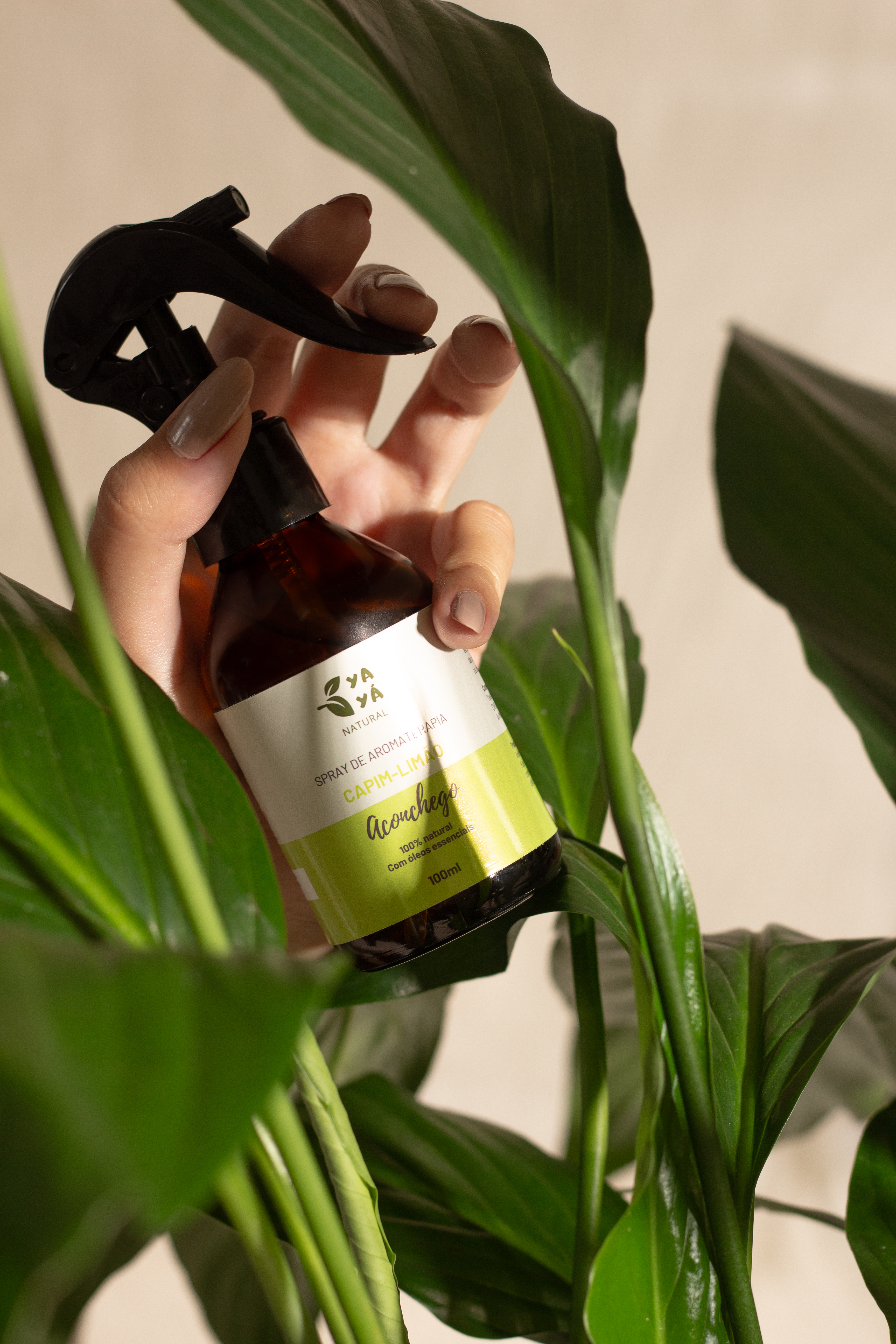 Linha completa de produtos Yayá Natural: latas dos sabores Energy Creamer, Original e Cacau, caixa com sachês e um copo de café sobre fundo claro